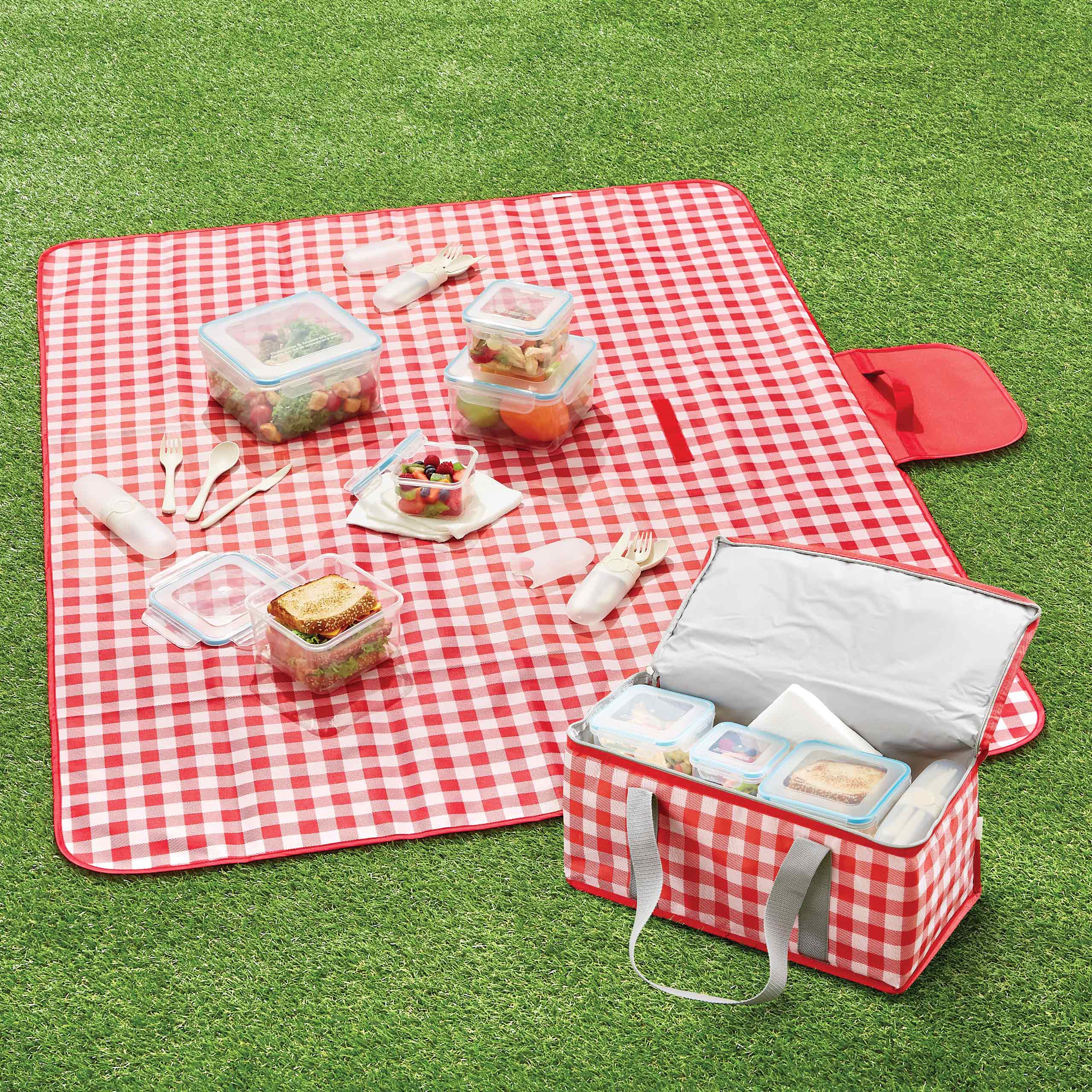 Manta Picnic - Image 2
