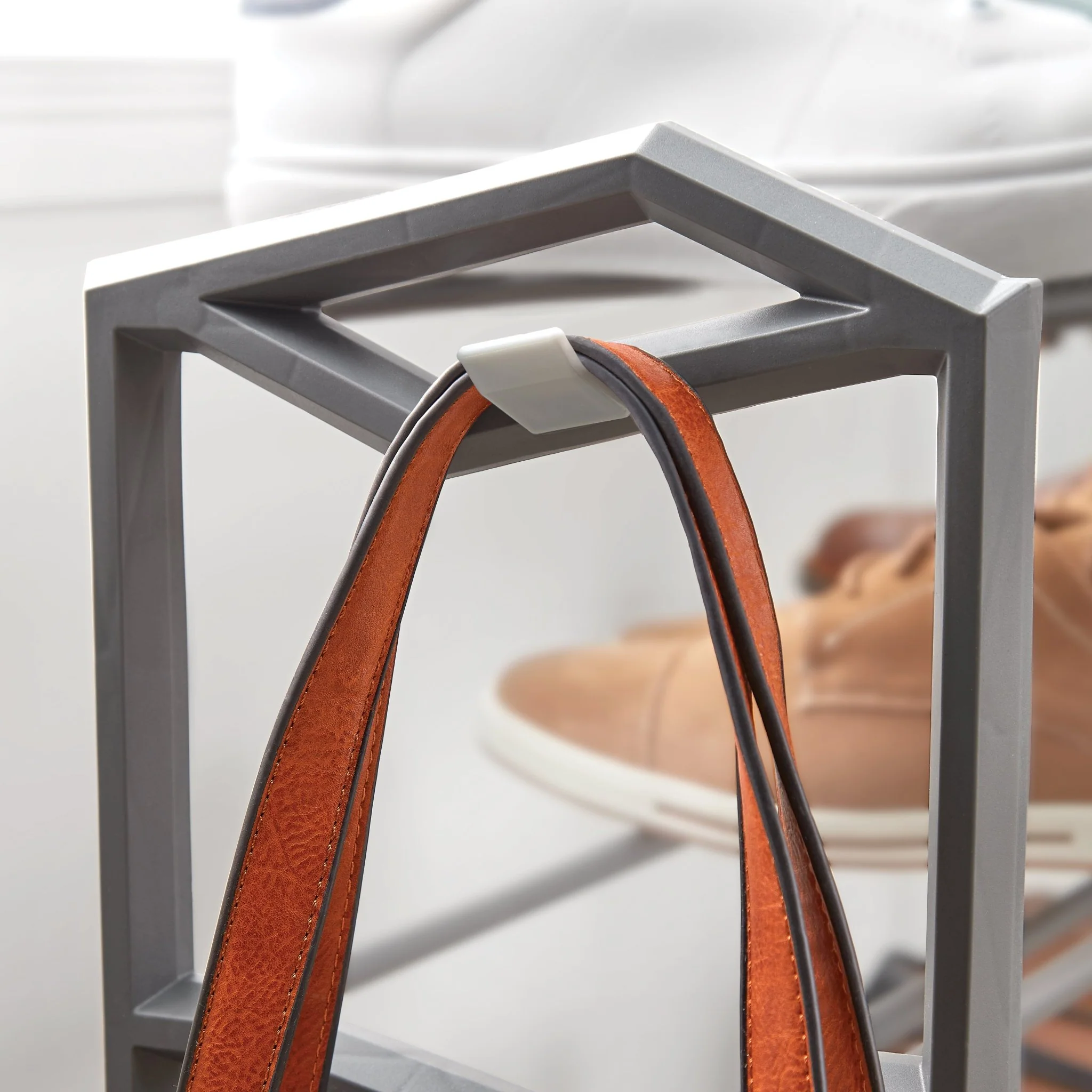 Zapatera Nova - Image 3